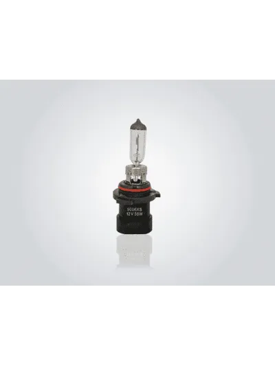 AMPOLLETAS - 12V 55W P22D