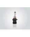 AMPOLLETAS - 12V 55W P22D