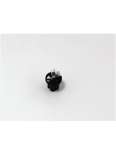 AMPOLLETAS B8,5d 24v 1,2w