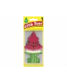 AROMATIZANTES - SANDIA 24 UN