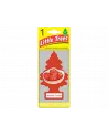 AROMATIZANTES - TOMATE FRESCO 24 UN
