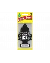 3-PAK PINO HIELO NEGRO