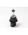 AMPOLLETAS P29t 12v 100/80w