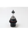 AMPOLLETAS PX29t 12v 100/80w