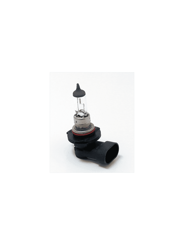 AMPOLLETA H10 12V 42W