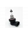 AMPOLLETA H10 12V 42W
