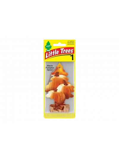 AROMATIZANTES - PUMPKIN SPICE 24 UN