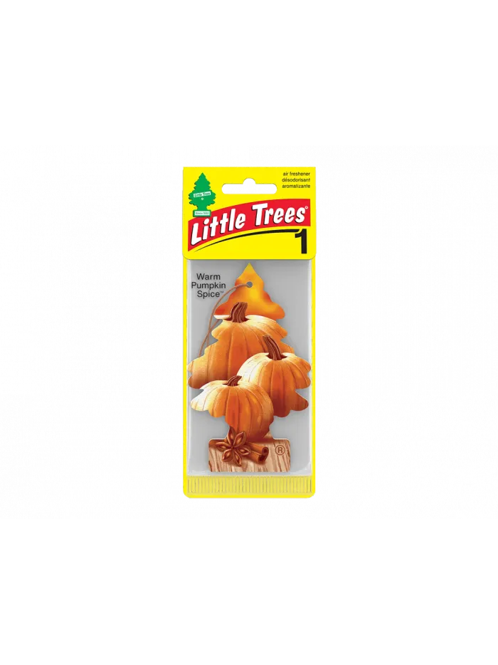 AROMATIZANTES - PUMPKIN SPICE 24 UN
