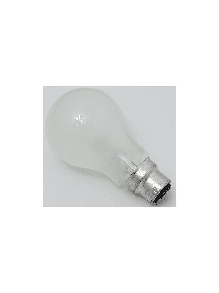 AMPOLLETAS 220V 60W B22D PS60 - EMPABONADA
